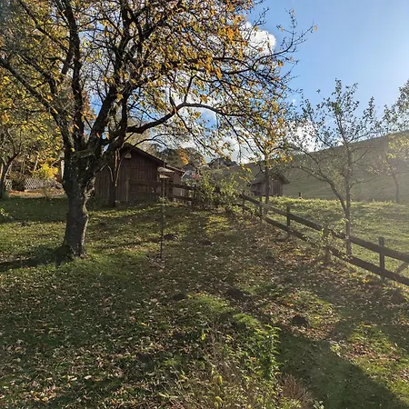 بيت ضيافة Lauras - Landhauspension ميدهباخ