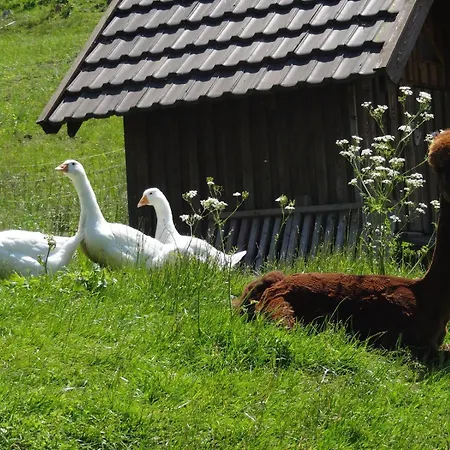 Vendégház Lauras - Landhauspension