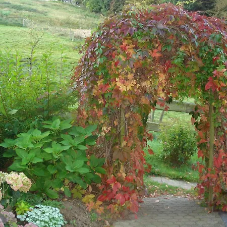 Vendégház Lauras - Landhauspension Medebach