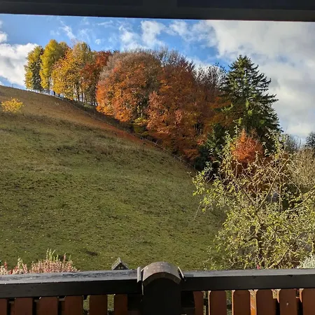 Lauras - Landhauspension 3* ميدهباخ