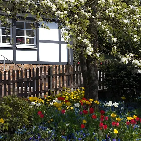 بيت ضيافة Lauras - Landhauspension