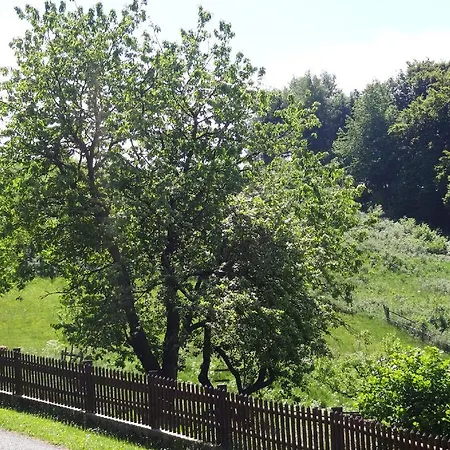 Lauras Landhauspension Medebach
