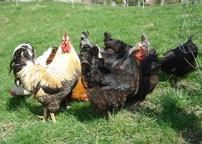 Lauras - Landhauspension 3*