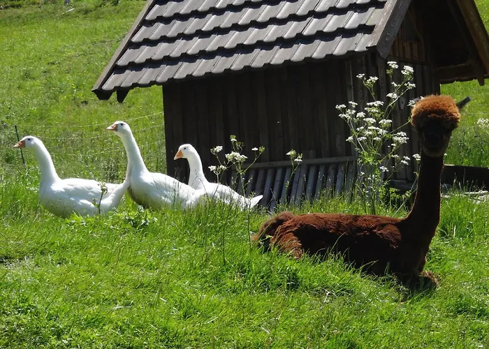 招待所 Lauras - Landhauspension