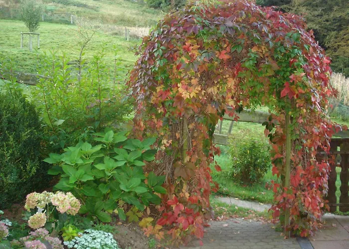 Vendégház Lauras - Landhauspension Medebach