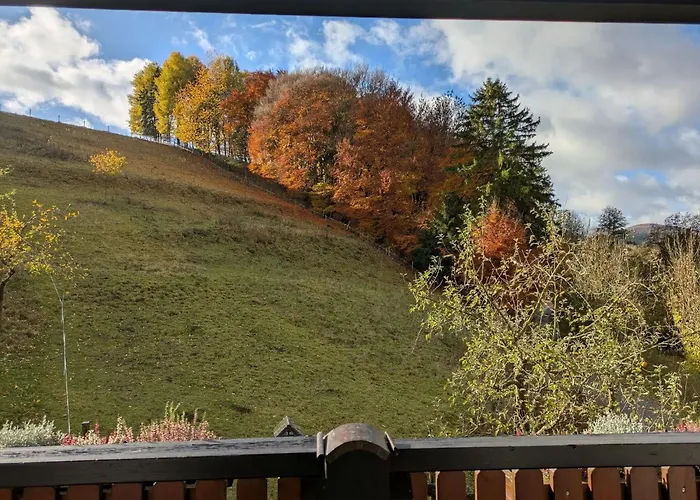 Lauras - Landhauspension 3* Medebach