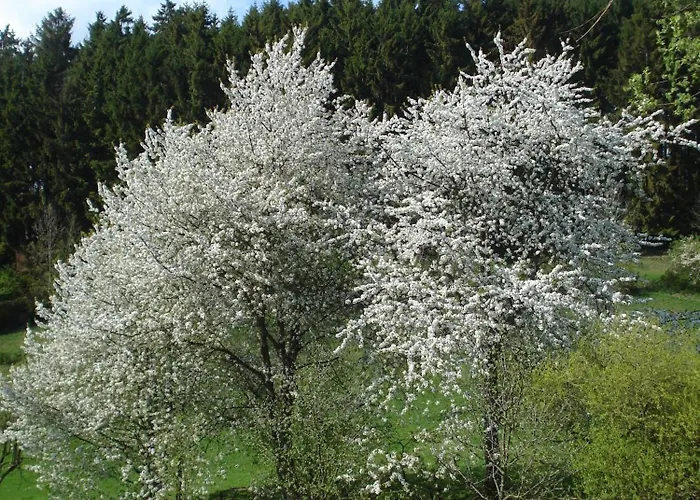 Vendégház Lauras - Landhauspension Medebach